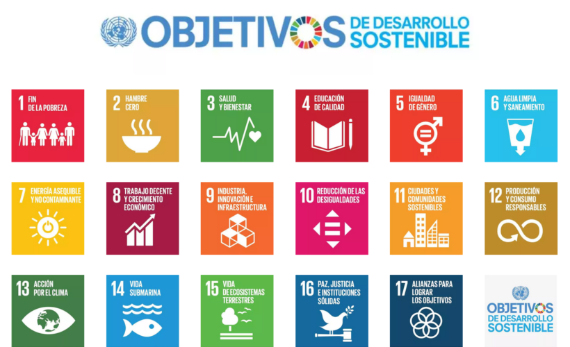 Desarrollo sostenible con el programa internacional "Global Social Leaders"