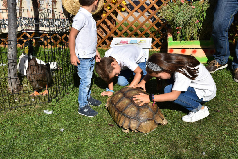 DSC 2264 &bull; Más de 1.000 familias disfrutaron de nuestra Granja de las emociones y de los cuentos para sentir