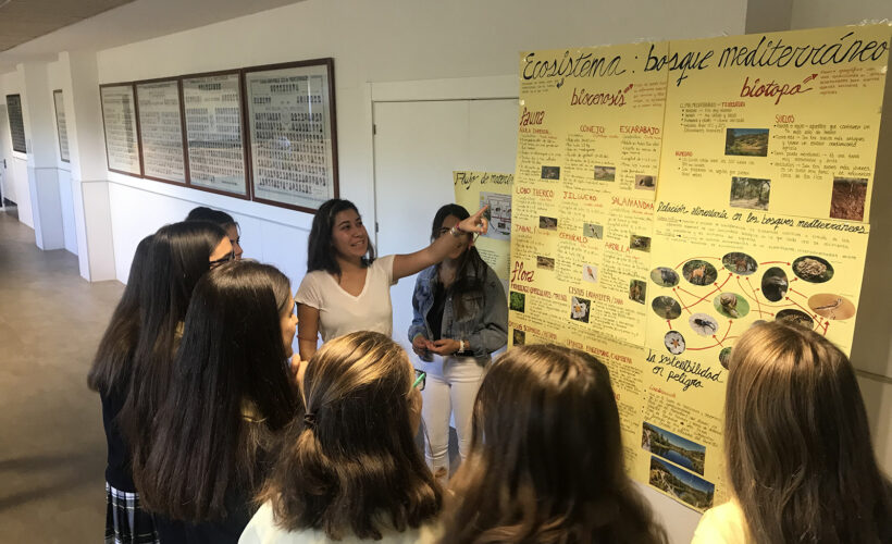Los alumnos de 2º de Bachillerato Internacional presentan su proyecto de Ciencias Experimentales