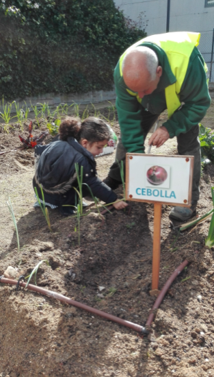 Aprendemos a reciclar y a cuidar el medio ambiente