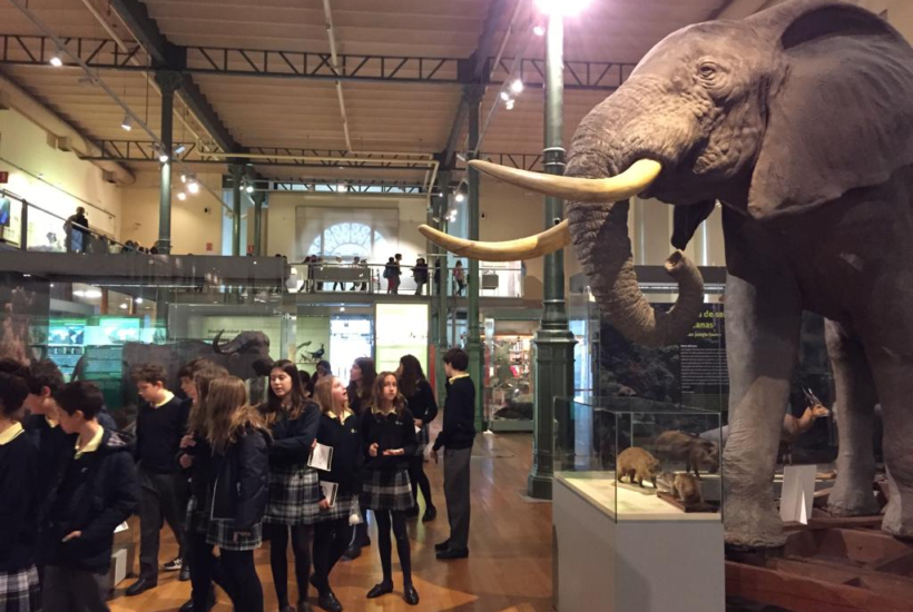 Historia y diversidad en el Museo Nacional de Ciencias Naturales